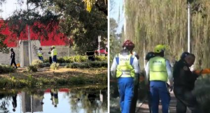 Macabro hallazgo en CDMX: Localizan cuerpo flotando en aguas negras de Xochimilco