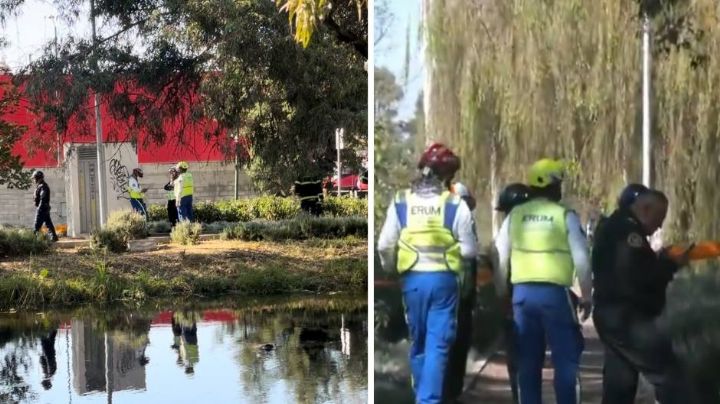 Macabro hallazgo en CDMX: Localizan cuerpo flotando en aguas negras de Xochimilco