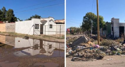 Vecinos de la colonia Santa Fe piden combatir la inseguridad y focos de infección