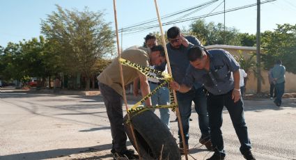 Vandalismo 'empeora' el servicio de drenaje en el municipio de Huatabampo