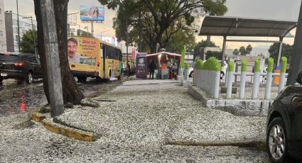 Clima en CDMX 23 de diciembre: Conagua espera caída de nieve ¿A qué hora lloverá Hoy?