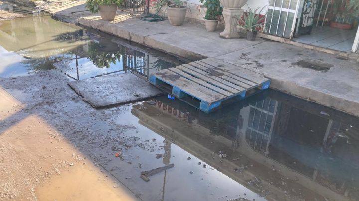 Ciudad Obregón: Bloquean vecinos de Valle Dorado calle Valle del Algodón por drenaje colapsado