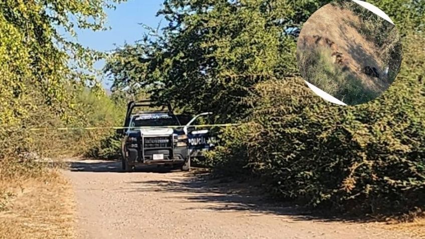 Se lo comían los perros: Encuentran un cadáver descompuesto en Costa Rica, Culiacán