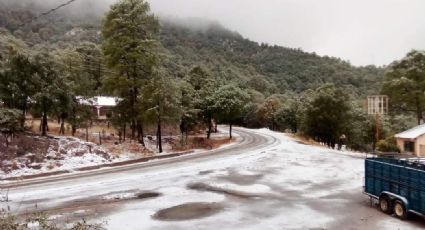 Clima en Sonora HOY 29 de diciembre: ¡Alerta! Conagua prevé calor de hasta 40ºC y heladas de -5ºC