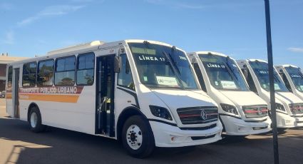 Cajeme cuenta con una nueva línea del transporte urbano, contará con 13 unidades