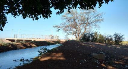 Productores en el Valle del Yaqui recurren al agua de drenes para riego