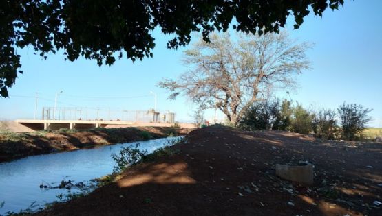 Productores en el Valle del Yaqui recurren al agua de drenes para riego