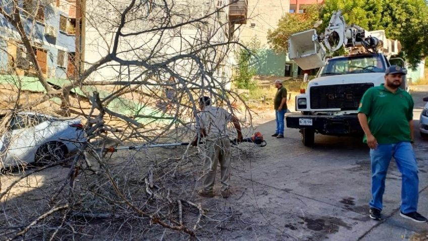 Clima en Culiacán hoy 5 de diciembre: Conagua espera altas temperaturas y sin lluvias