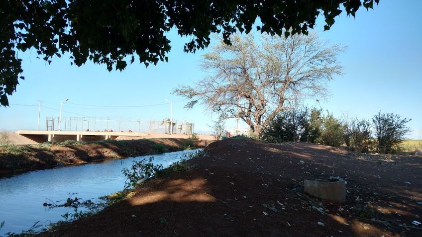 Productores en el Valle del Yaqui recurren al agua de drenes para riego