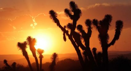 Clima en Sonora: Se proveen bajas temperaturas durante el día y probabilidad de lluvia