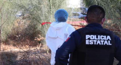 (FOTO) Macabro hallazgo en Sonora: Encuentran cuerpo de hombre muerto colgado de árbol