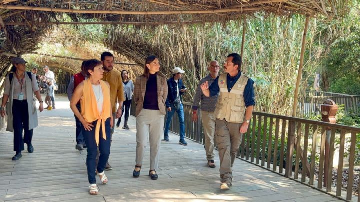 Con millonaria inversión, el Zoológico de Chapultepec recobra vida en la Ciudad de México