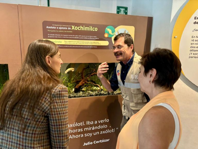 Bosque de Chapultepec 