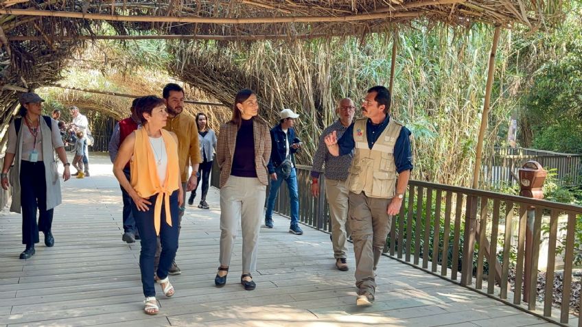 Con millonaria inversión, el Zoológico de Chapultepec recobra vida en la Ciudad de México