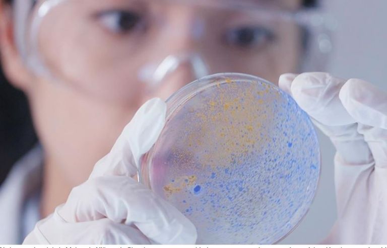 Día Internacional de la Mujer y la Niña en la Ciencia