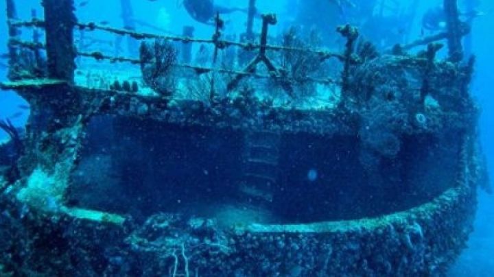 Crearán en Sonora un arrecife artificial único en México