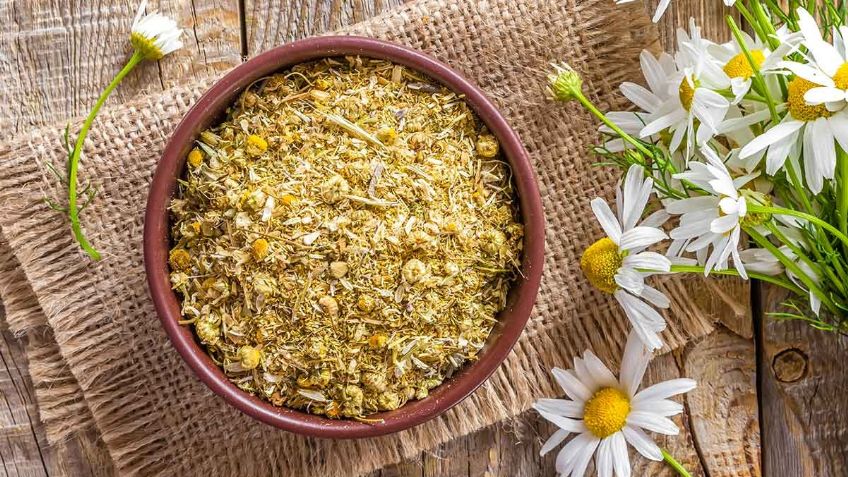 ¡Cuidado! Evita usar manzanilla sobre tus ojos; esto es a lo que te expones