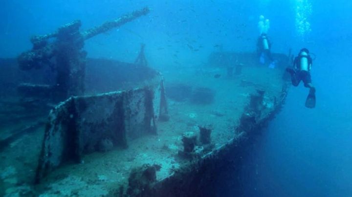 Red de 14 arrecifes artificiales detonarán turismo en San Carlos, Sonora, asegura la OCV