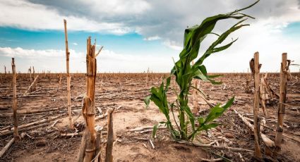 Aumenta la sequía en México y se agravan las condiciones climáticas