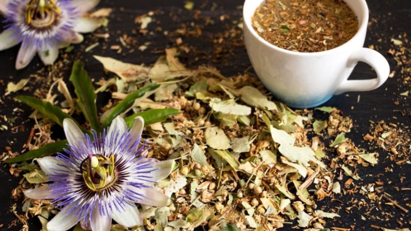 Pasiflora: Estos son los beneficios de esta planta para la salud y el sueño