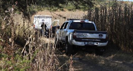 Hallan 11 cuerpos en fosa clandestina de Michoacán; 7 eran hombres y 4 mujeres