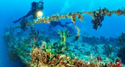 Lo que se sabe del nuevo arrecife de San Carlos, Sonora; turismo y biodiversidad marina