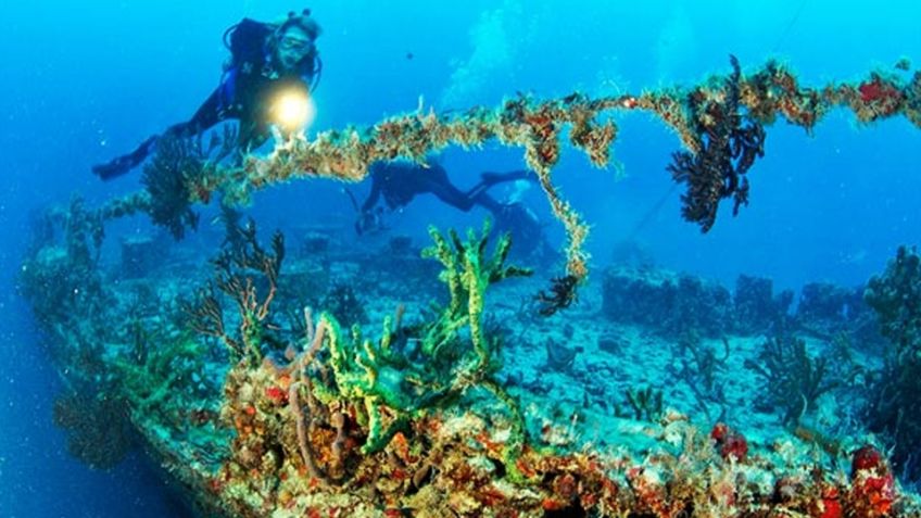 Lo que se sabe del nuevo arrecife de San Carlos, Sonora; turismo y biodiversidad marina