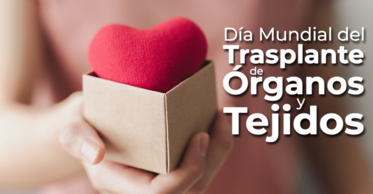 Día Mundial del Trasplante de Órganos y Tejidos