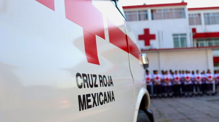 Salva una vida: Así puedes donar a la Cruz Roja en la Colecta Nacional 2024