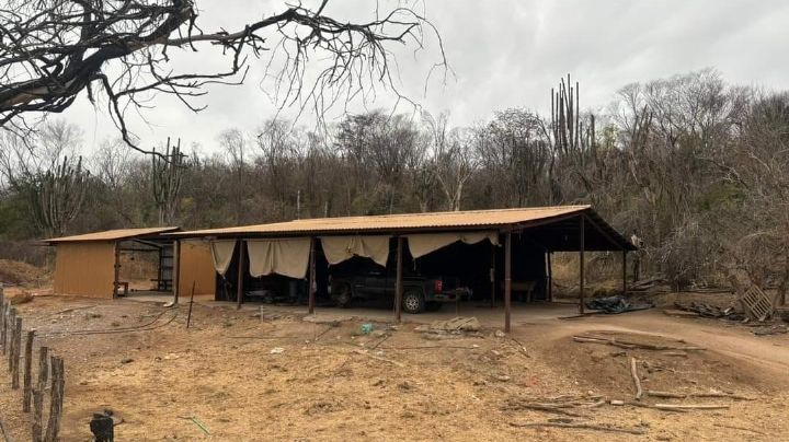 Desmantelan nuevo laboratorio de narcóticos en Quiriego, Sonora; estos son los detalles