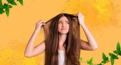 Cabello 'espumoso': ¿Qué es este fenómeno y cómo evitar que te pase a ti?