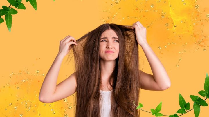 Cabello 'espumoso': ¿Qué es este fenómeno y cómo evitar que te pase a ti?