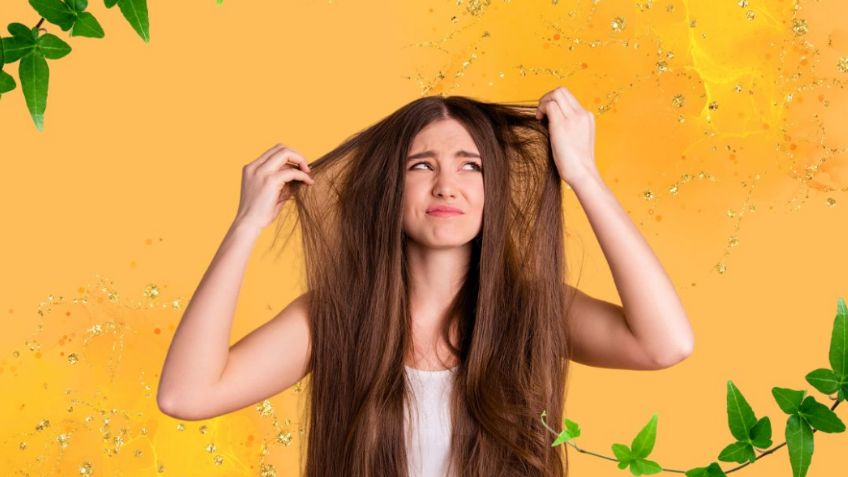 Cabello 'espumoso': ¿Qué es este fenómeno y cómo evitar que te pase a ti?