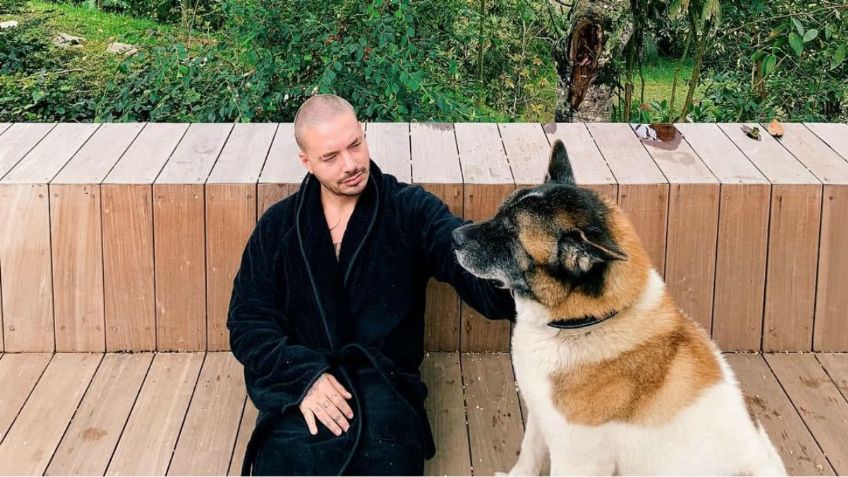 Terrible: J Balvin está de luto por la muerte de su fiel amigo Enzo