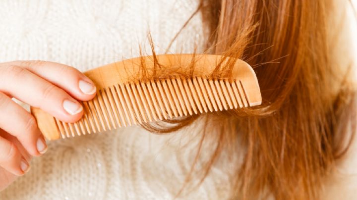 Tu cabello ya no crece: Estos son los signos que muestran que está demasiado dañado