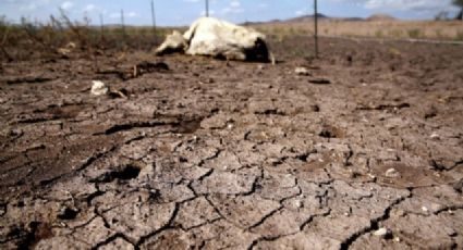 Informe de Conagua: Escasez de agua en CDMX contrasta con incremento en algunos estados