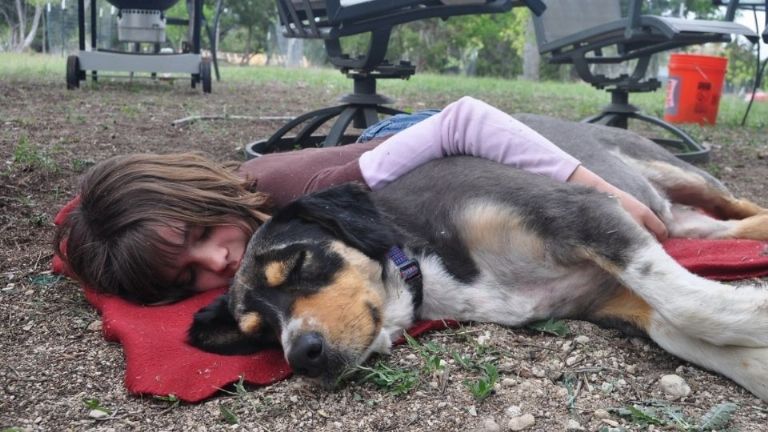 Invitan a una 'siesta masiva' en la Ciudad de México para conmemorar el Día Mundial del Sueño