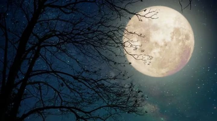 Maravillas astronómicas de marzo 2024: Estas son las que no debes perderte