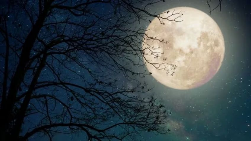 Maravillas astronómicas de marzo 2024: Estas son las que no debes perderte