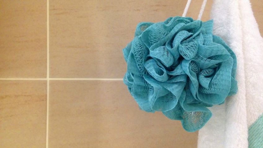 Checa cada cuánto tiempo deberías de limpiar tu zacate; está lleno de gérmenes