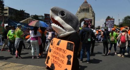 Organizan marcha en la Ciudad de México contra el Maltrato Animal; esto es lo que pasó