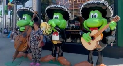 Las famosas ranas de Señor Frogs regresan a Acapulco tras ser robadas; estaban en Neza