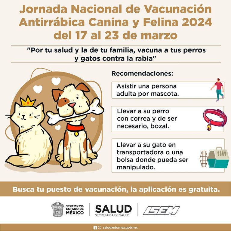 La aplicación de vacunas es gratuita