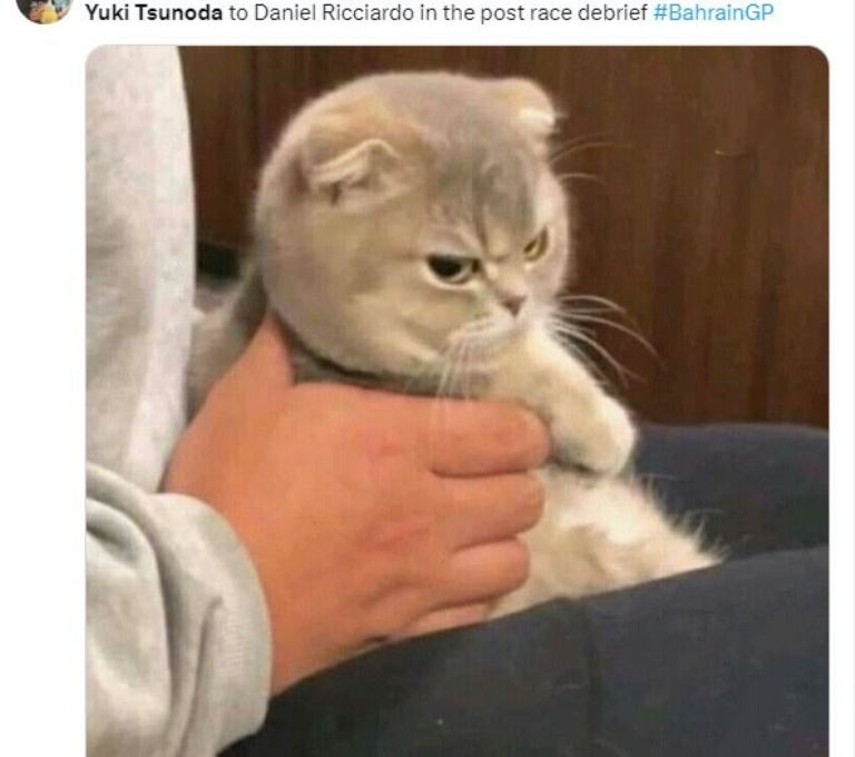 Los MEMES del primer GP del año en la F1; Verstappen, 'Checo' y Tsunoda, protagonistas