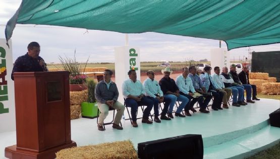 Arranca la celebración de la edición 69 del 'Día del agricultor' en el Valle del Yaqui