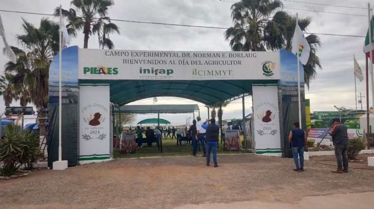 El Campo Experimental Norman E. Bourlag (Ceneb)