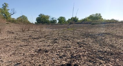 Sequía en Sonora: Valle del Mayo registra solo un 6% de su disponibilidad de agua