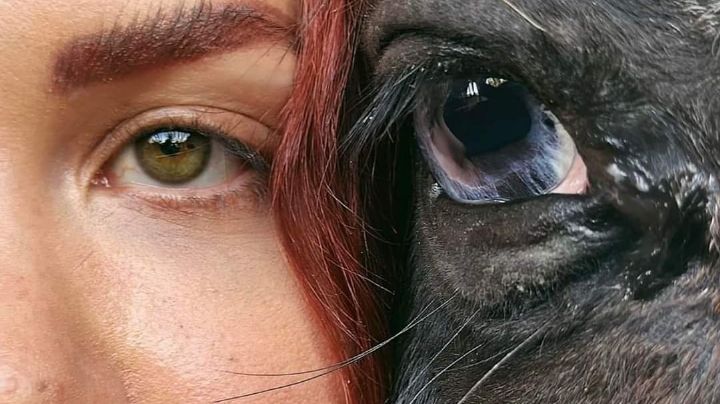 El legado de Elena Larrea: Exigen la promulgación de la 'Ley Elena' tras su fallecimiento