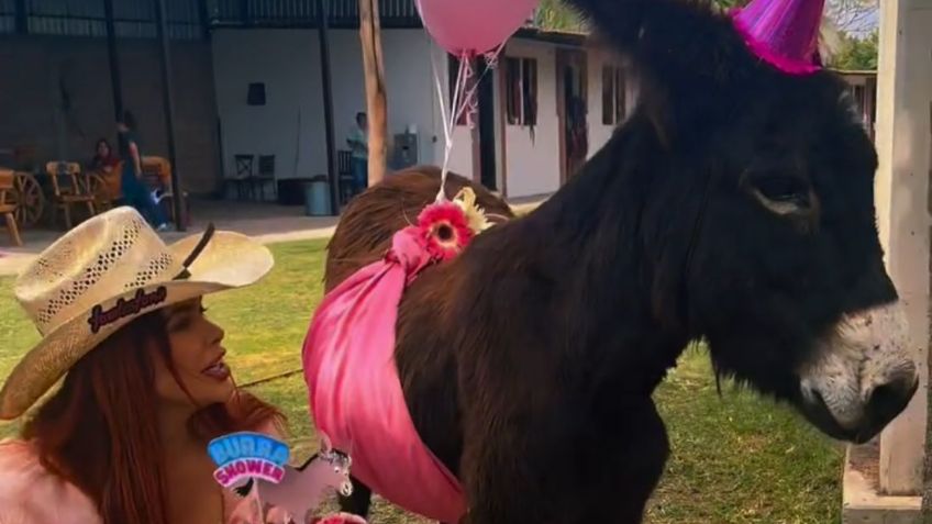 (VIDEO) Nace burrito en Cuacolandia: Renovando la esperanza en medio del luto