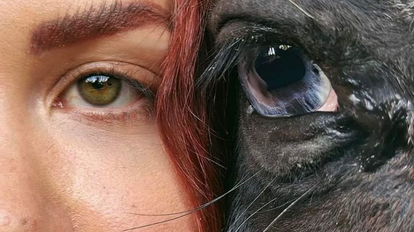 El legado de Elena Larrea: Exigen la promulgación de la 'Ley Elena' tras su fallecimiento